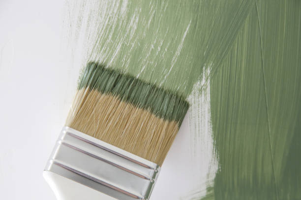Best Emergency Mold Remediation  in Angels, CA