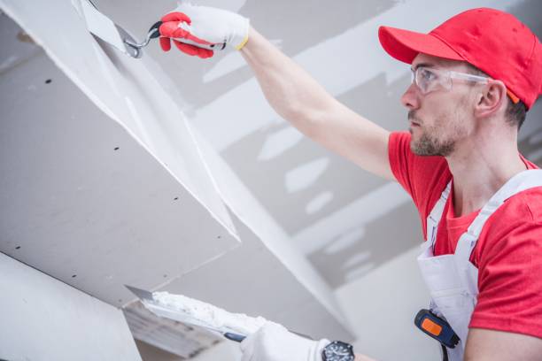 Professional Mold Removal in Angels, CA